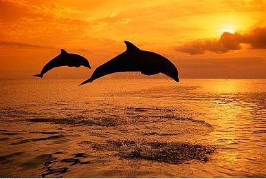 满屏弹珠无限连击！ 《弹珠地狱洛坎塔》体验版今日上线