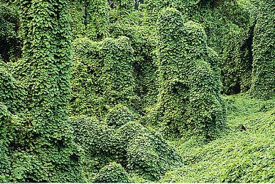 《兄弟：双子传说重制版》XSS最低分辨率只有454P