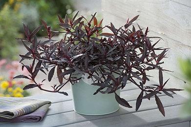 育碧搞怪派对游戏《神奇躲避球》现已发售 售价98元